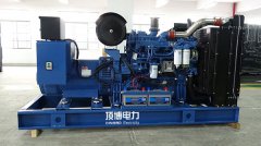 為什么企業(yè)不選擇天然氣或汽油發(fā)電機作為備用電源？